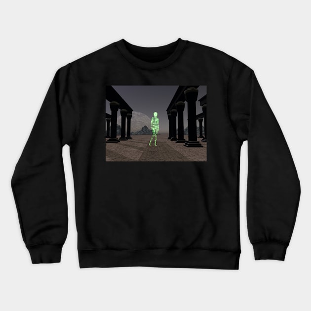 The Virtual Visitor Crewneck Sweatshirt by sciencenotes